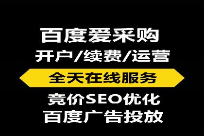 网络推广竞价实战案例分析集